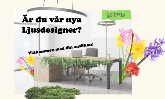 Mondeverde söker en Ljusdesigner